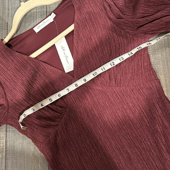 All in Favor Plisse Empire Waist Dress - Picture 3 of 4